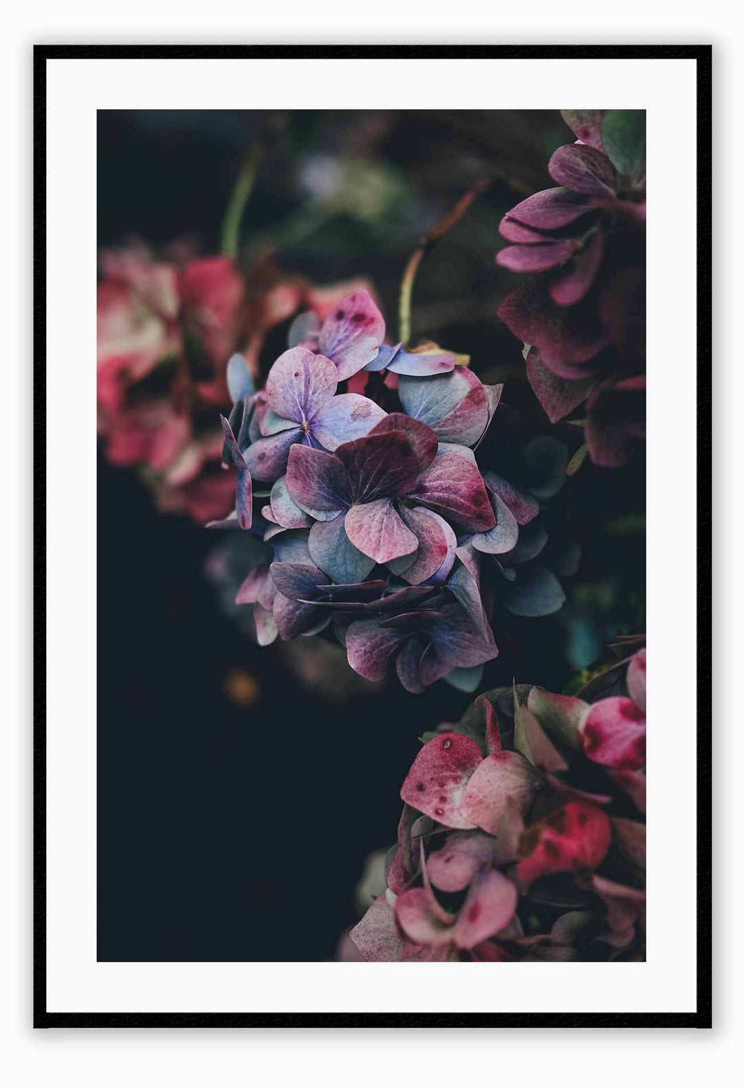 Canvas Print 50x70cm / Black Floral Mood Floral Mood Framed Print Brand