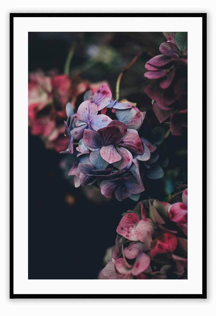 Canvas Print 50x70cm / Black Floral Mood Floral Mood Framed Print Brand
