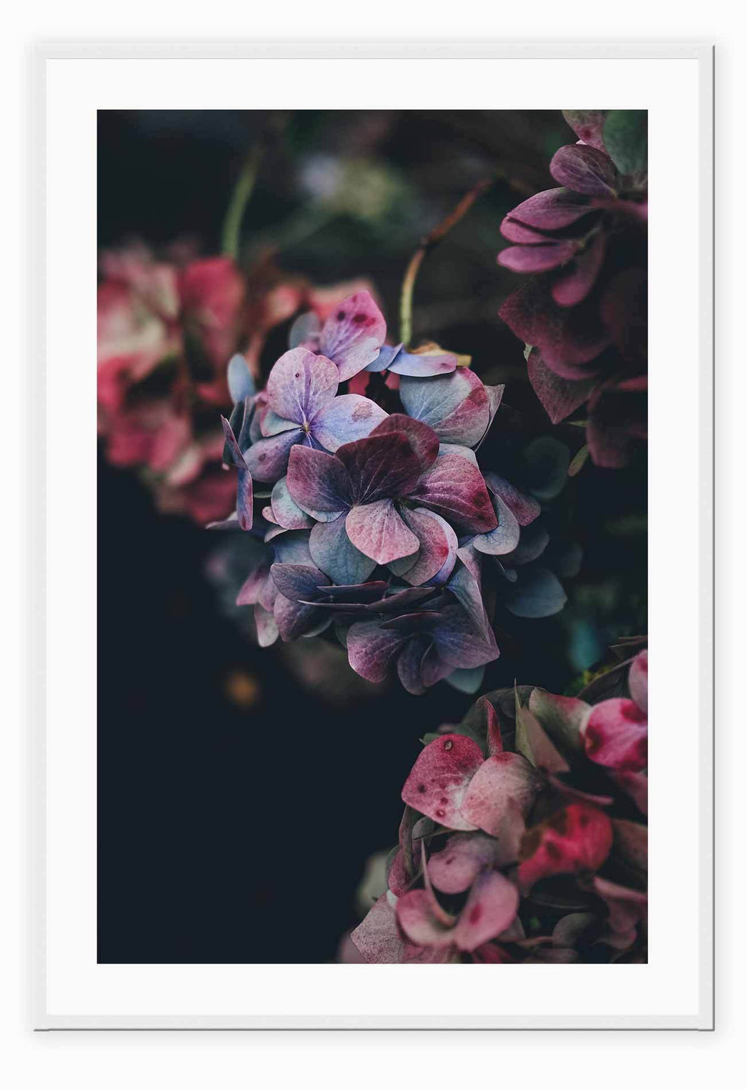 Canvas Print 50x70cm / White Floral Mood Floral Mood Framed Print Brand