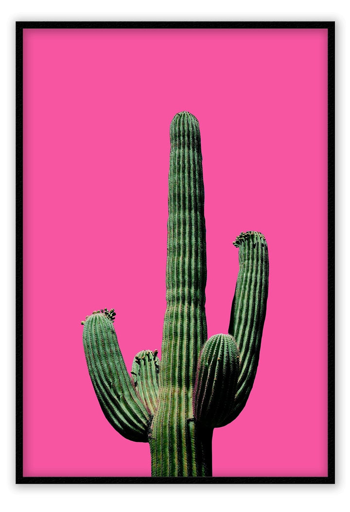 Canvas Print Small		50x70cm / Black Fluro Cactus Fluro Cactus Framed Print Brand