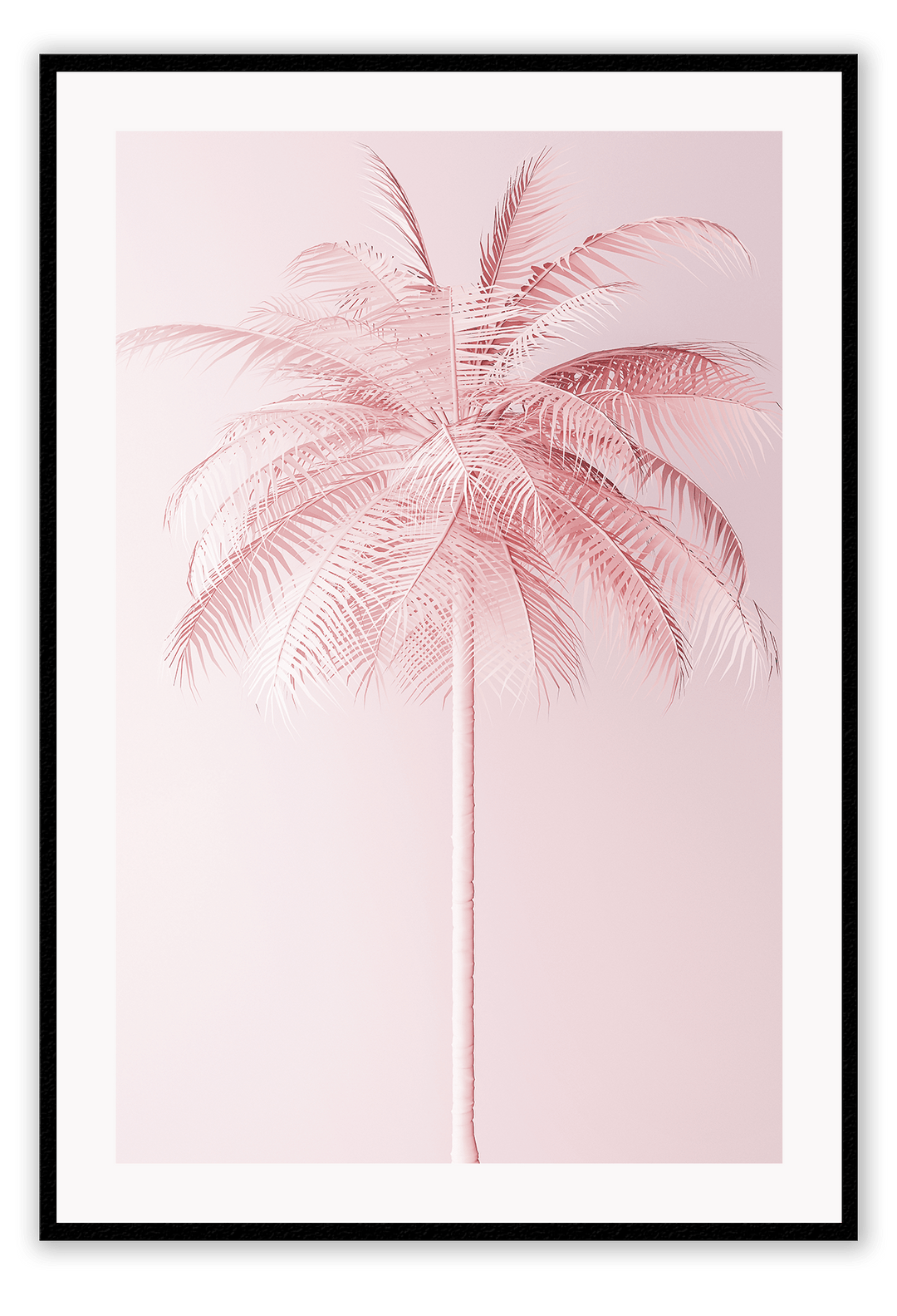 Canvas Print 50x70cm / Black Pink Palm Pink Palm Wall Art : Ready to hang framed artwork. Brand