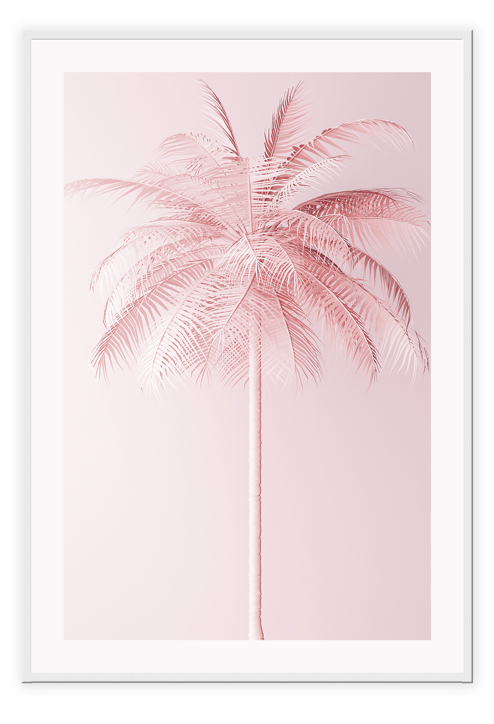 Canvas Print 50x70cm / White Pink Palm Pink Palm Wall Art : Ready to hang framed artwork. Brand