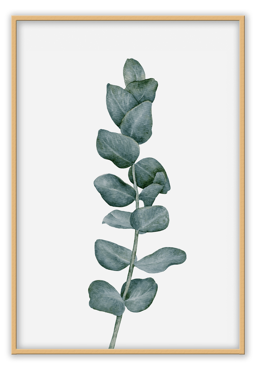 Canvas Print 50x70cm / Natural Sketchy Eucalyptus Sketchy Eucalyptus Wall Art : Ready to hang framed artwork. Brand