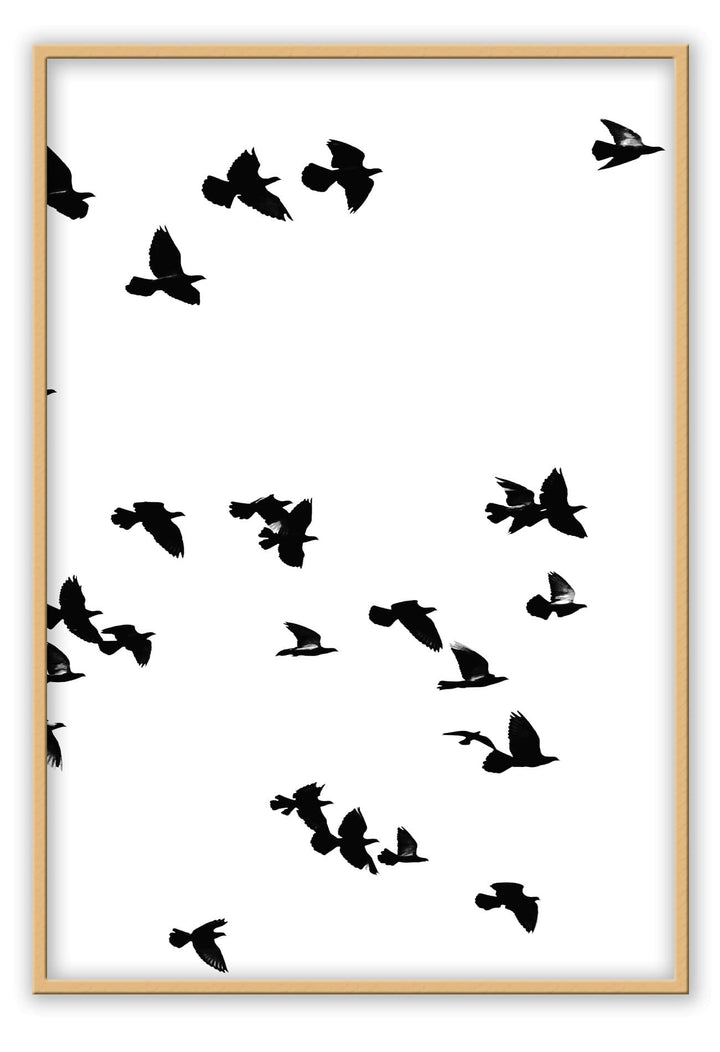 Canvas Print Small		50x70cm / Oak Sky birds II Sky Birds  Framed Prints Brand