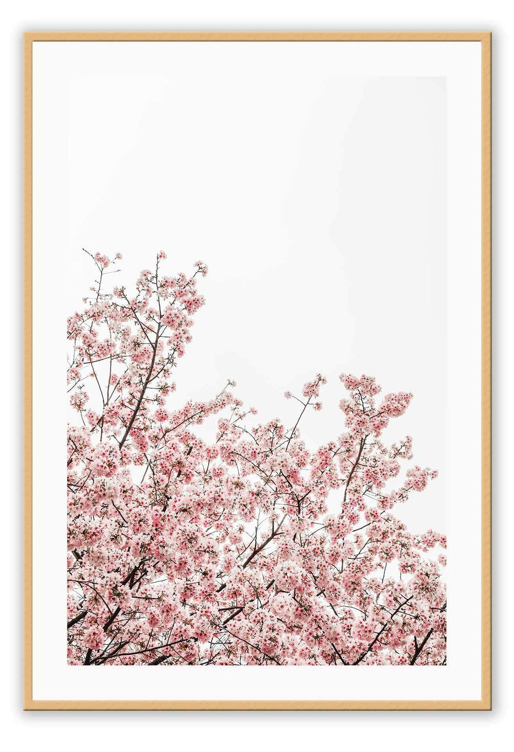 Canvas Prints Central Park Central Park Wall Art : Ready to hang framed artwork. Brand